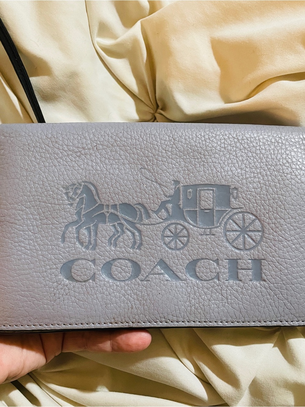 COACH Anna Foldover Clutch Crossbody Bag in Light Blue with horse and carriage